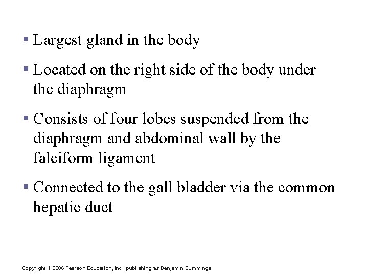 Liver § Largest gland in the body § Located on the right side of