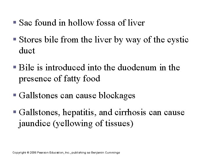 Gall Bladder § Sac found in hollow fossa of liver § Stores bile from