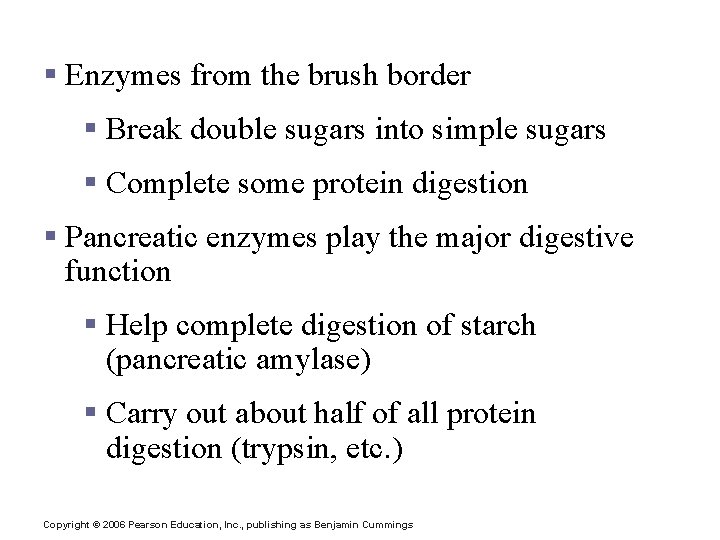 Digestion in the Small Intestine § Enzymes from the brush border § Break double