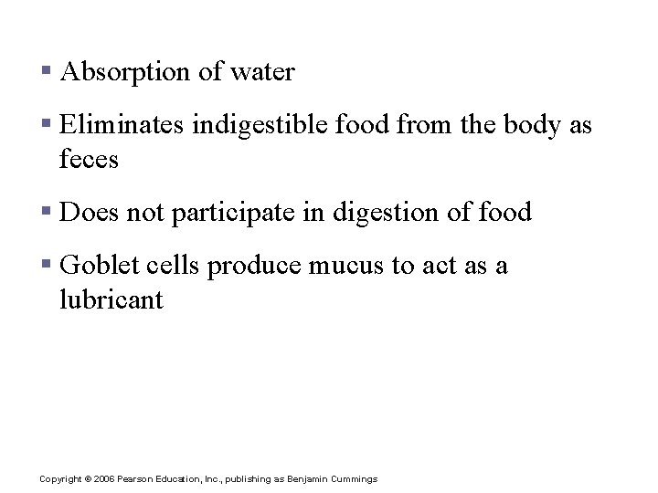 Functions of the Large Intestine § Absorption of water § Eliminates indigestible food from