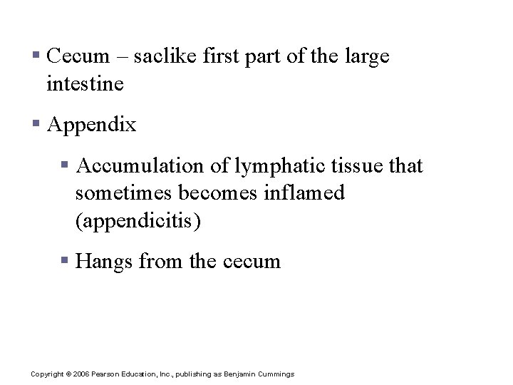 Structures of the Large Intestine § Cecum – saclike first part of the large