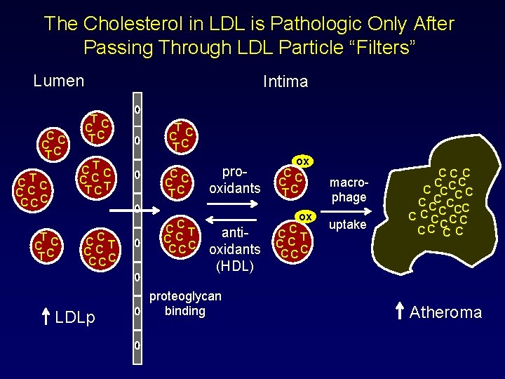 The Cholesterol in LDL is Pathologic Only After Passing Through LDL Particle “Filters” Lumen