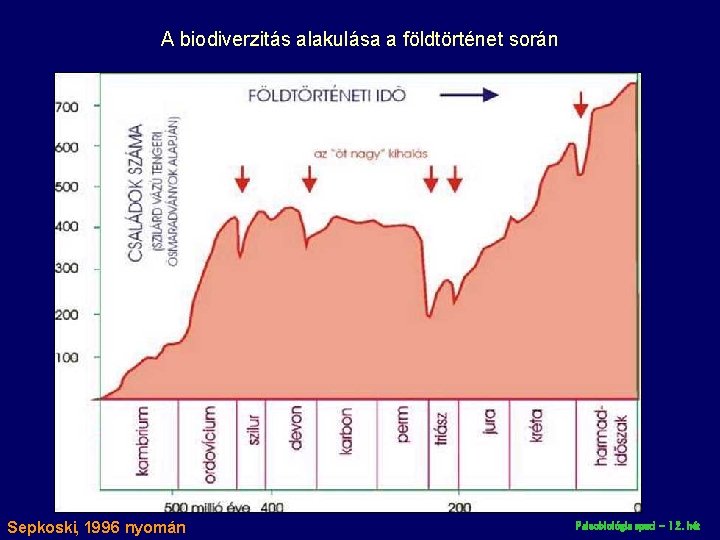 A biodiverzitás alakulása a földtörténet során Sepkoski, 1996 nyomán Paleobiológia speci – 12. hét