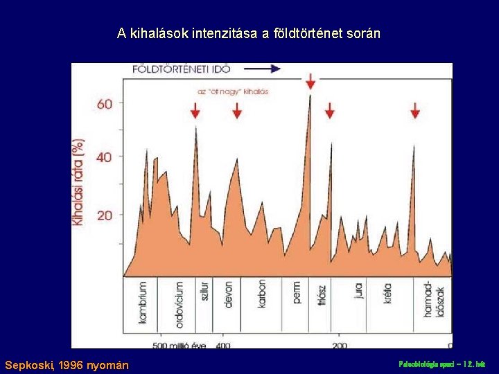 A kihalások intenzitása a földtörténet során Sepkoski, 1996 nyomán Paleobiológia speci – 12. hét