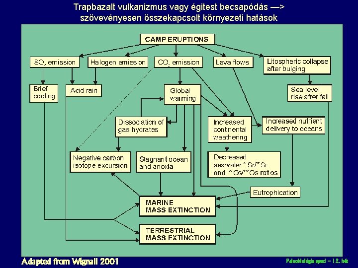 Trapbazalt vulkanizmus vagy égitest becsapódás —> szövevényesen összekapcsolt környezeti hatások Adapted from Wignall 2001
