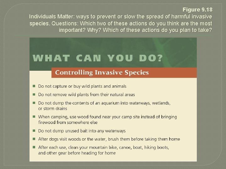 Figure 9. 18 Individuals Matter: ways to prevent or slow the spread of harmful