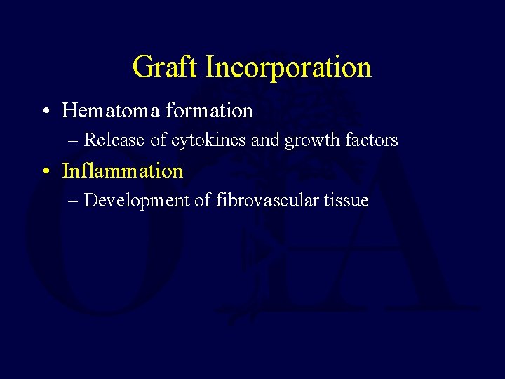 Graft Incorporation • Hematoma formation – Release of cytokines and growth factors • Inflammation