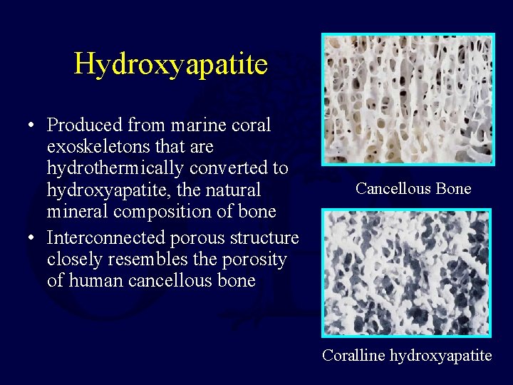 Hydroxyapatite • Produced from marine coral exoskeletons that are hydrothermically converted to hydroxyapatite, the