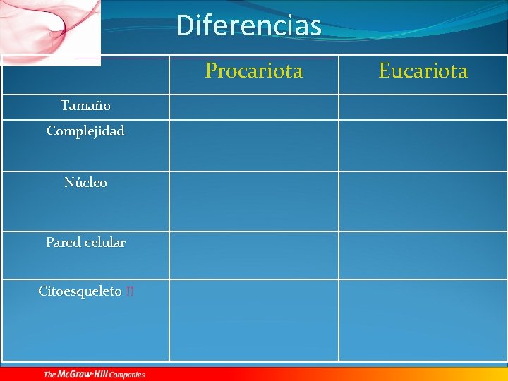 Diferencias Procariota Tamaño Complejidad Núcleo Pared celular Citoesqueleto !! Eucariota 