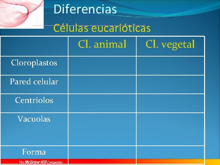 Diferencias Células eucarióticas Cl. animal Cloroplastos Pared celular Centriolos Vacuolas Forma Cl. vegetal 