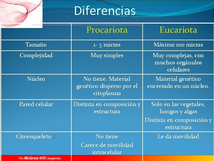 Diferencias Procariota Eucariota Tamaño 1 - 5 micras Máximo 100 micras Complejidad Muy simples