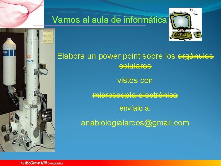 Vamos al aula de informática Elabora un power point sobre los orgánulos celulares vistos