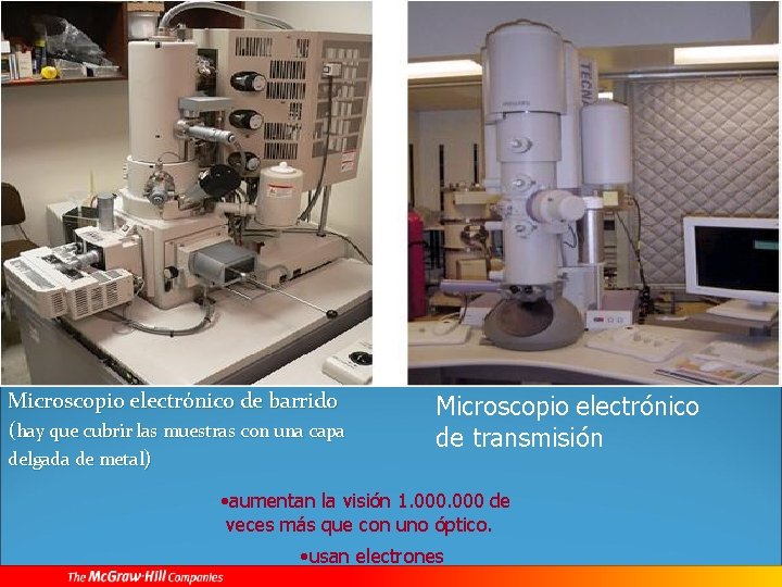 Microscopio electrónico de barrido (hay que cubrir las muestras con una capa delgada de