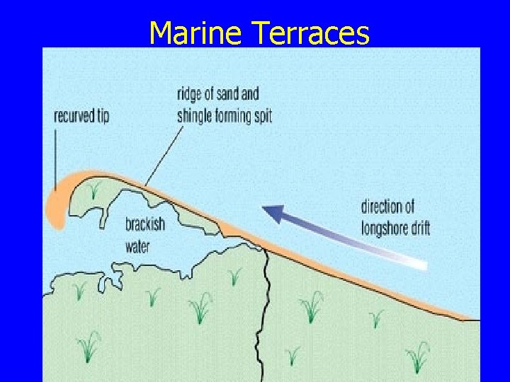Marine Terraces 