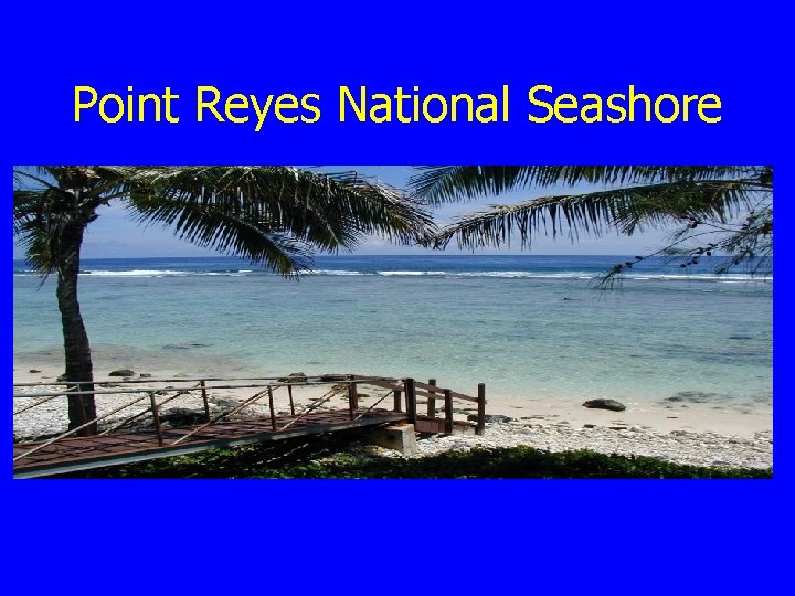 Point Reyes National Seashore 