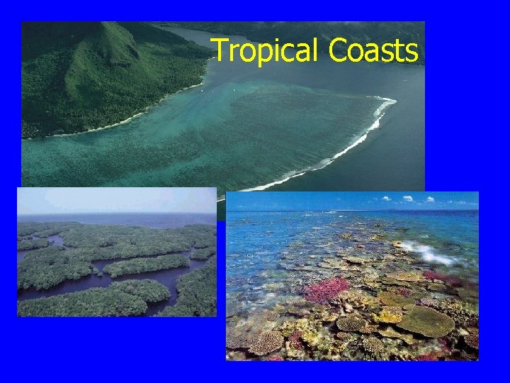 Tropical Coasts 