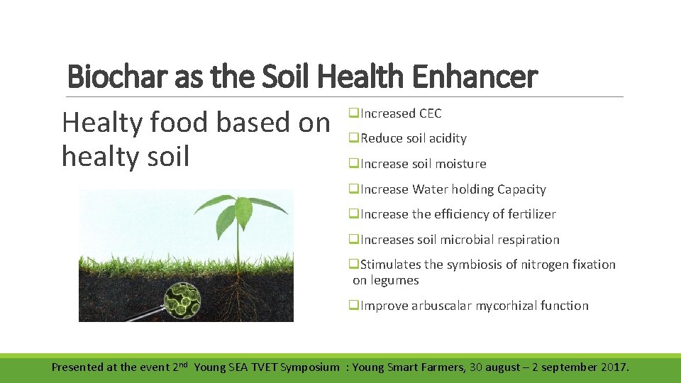 Biochar as the Soil Health Enhancer Healty food based on healty soil q. Increased