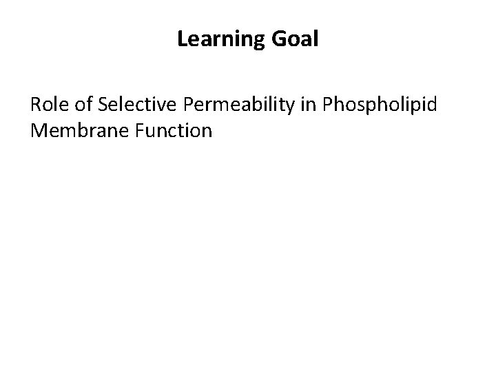 Learning Goal Role of Selective Permeability in Phospholipid Membrane Function 