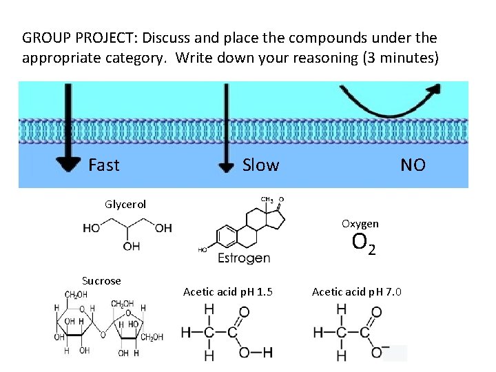 GROUP PROJECT: Discuss and place the compounds under the appropriate category. Write down your