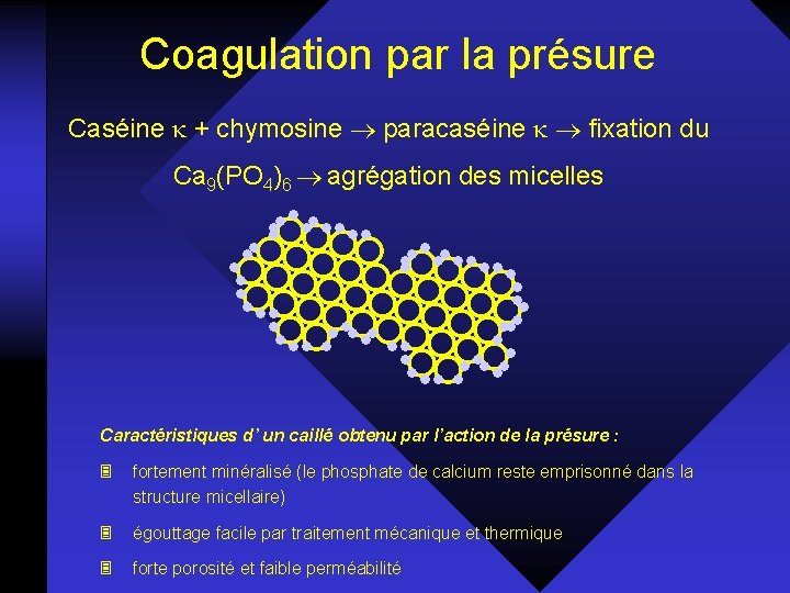 Coagulation par la présure Caséine + chymosine paracaséine fixation du Ca 9(PO 4)6 agrégation