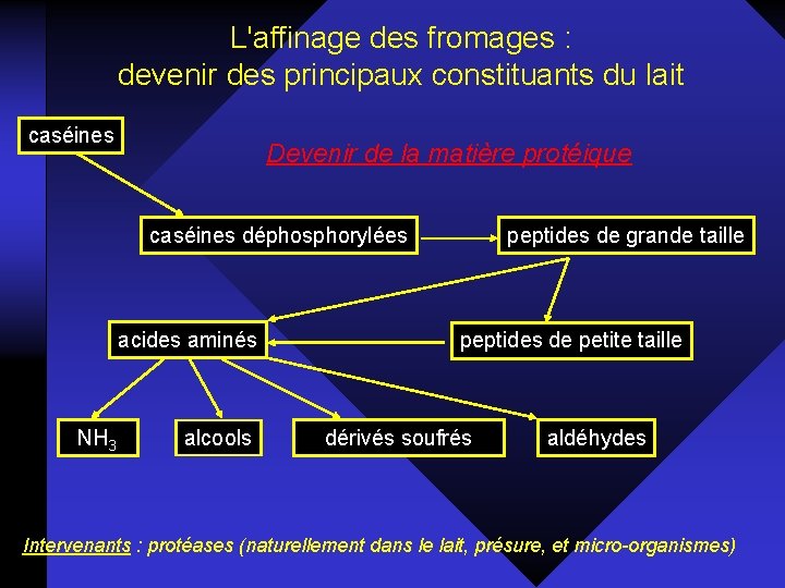 L'affinage des fromages : devenir des principaux constituants du lait caséines Devenir de la