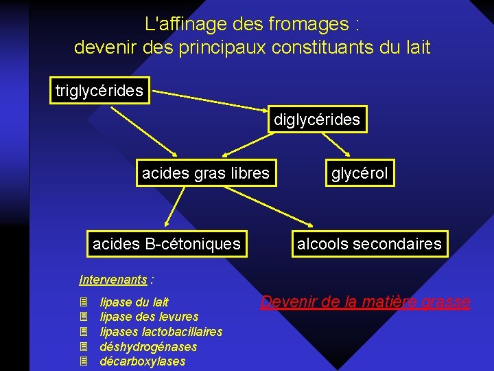 L'affinage des fromages : devenir des principaux constituants du lait triglycérides diglycérides acides gras