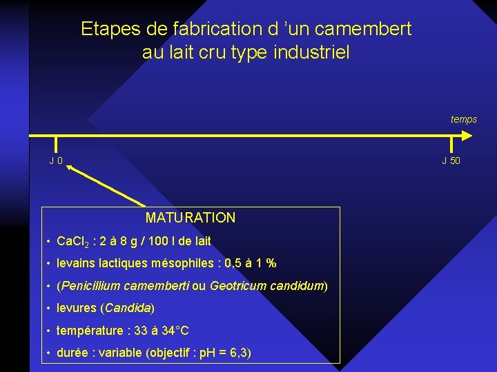 Etapes de fabrication d ’un camembert au lait cru type industriel temps J 0