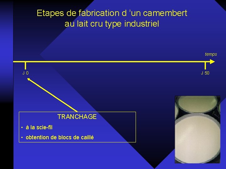Etapes de fabrication d ’un camembert au lait cru type industriel temps J 0