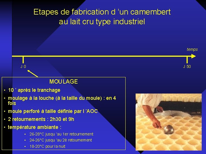 Etapes de fabrication d ’un camembert au lait cru type industriel temps J 0