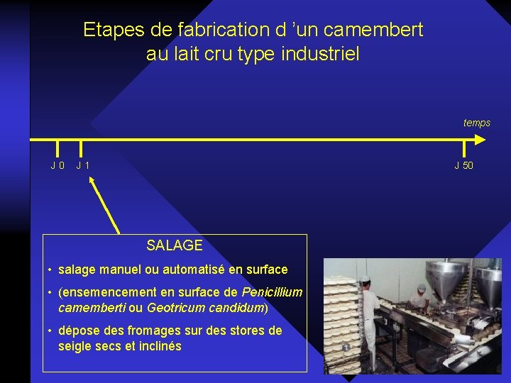 Etapes de fabrication d ’un camembert au lait cru type industriel temps J 0