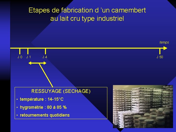 Etapes de fabrication d ’un camembert au lait cru type industriel temps J 0