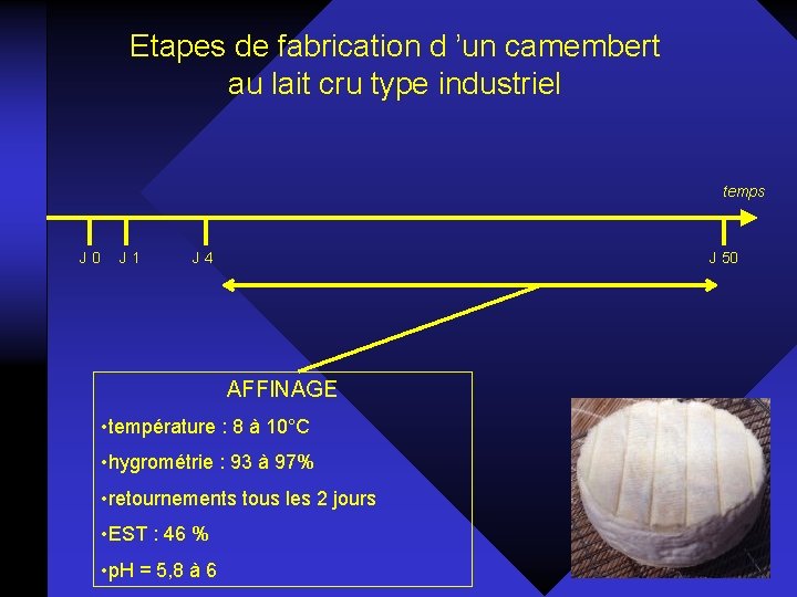 Etapes de fabrication d ’un camembert au lait cru type industriel temps J 0