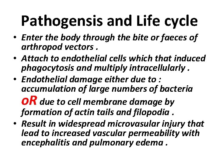 Pathogensis and Life cycle • Enter the body through the bite or faeces of