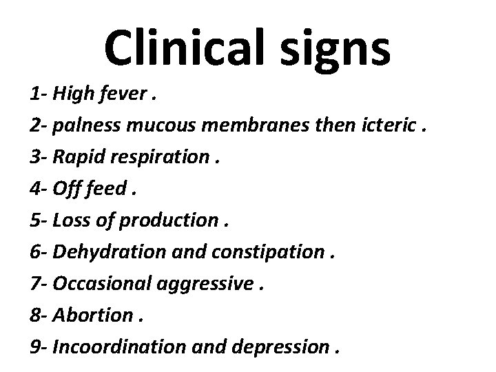 Clinical signs 1 - High fever. 2 - palness mucous membranes then icteric. 3