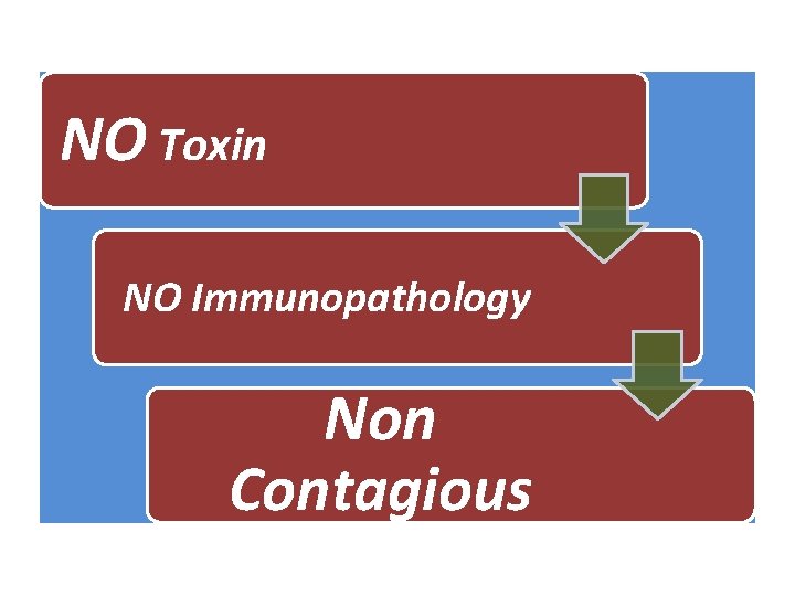 NO Toxin NO Immunopathology Non Contagious 