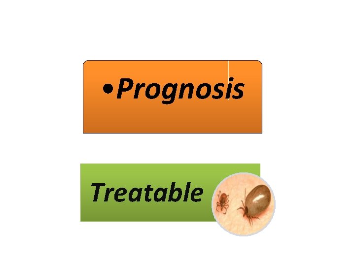  • Prognosis Treatable 