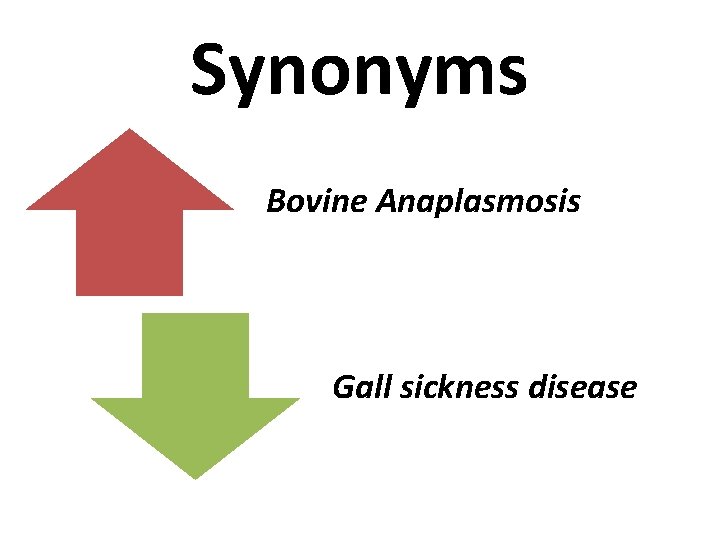 Synonyms Bovine Anaplasmosis Gall sickness disease 