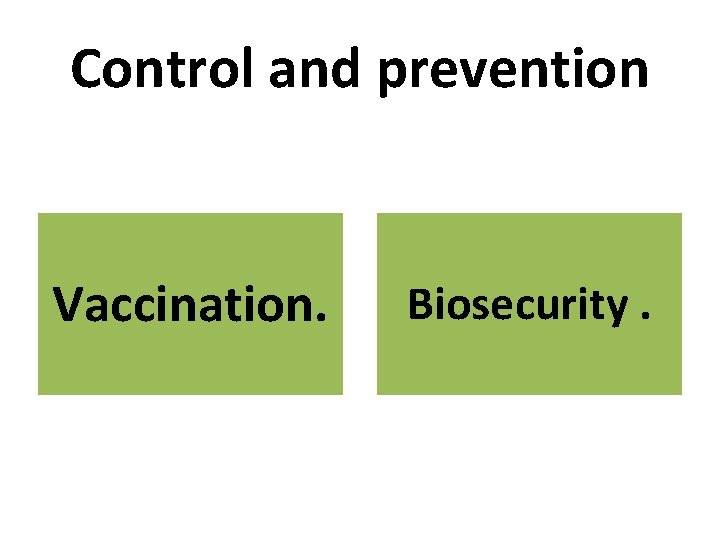 Control and prevention Vaccination. Biosecurity. 