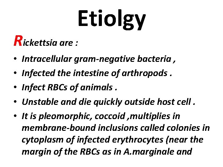 Etiolgy Rickettsia are : • • • Intracellular gram-negative bacteria , Infected the intestine