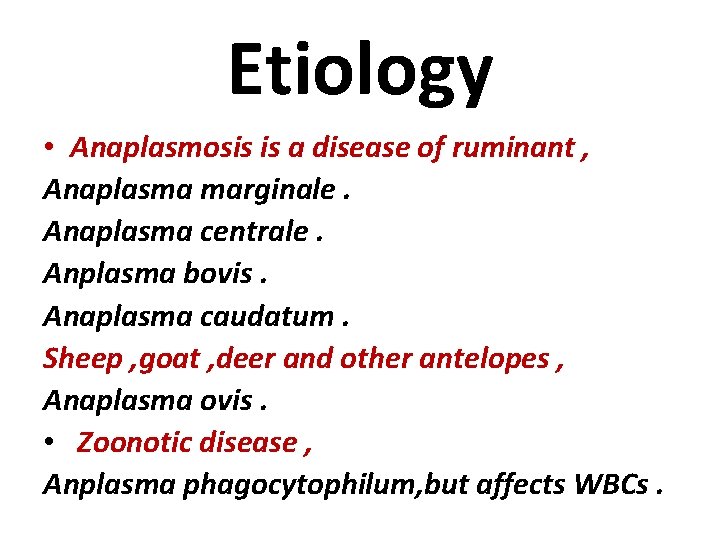 Etiology • Anaplasmosis is a disease of ruminant , Anaplasma marginale. Anaplasma centrale. Anplasma