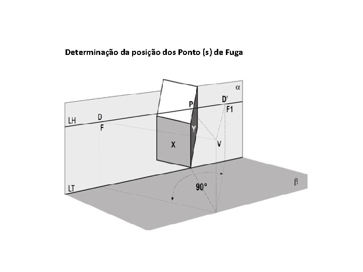 Determinação da posição dos Ponto (s) de Fuga 