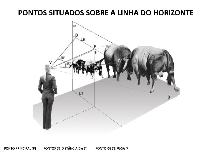 PONTOS SITUADOS SOBRE A LINHA DO HORIZONTE - PONTO PRINCIPAL [P] -PONTOS DE DIST