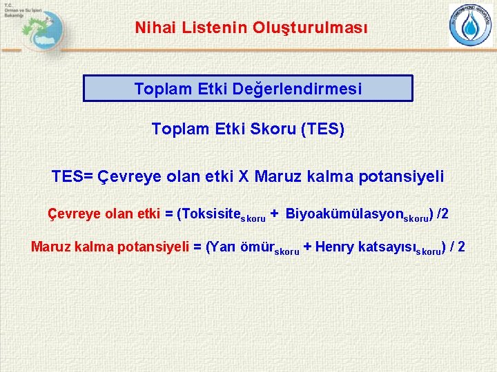Nihai Listenin Oluşturulması Toplam Etki Değerlendirmesi Toplam Etki Skoru (TES) TES= Çevreye olan etki