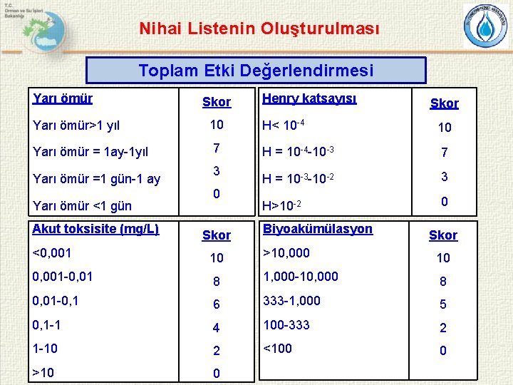 Nihai Listenin Oluşturulması Toplam Etki Değerlendirmesi Yarı ömür Skor Henry katsayısı Skor Yarı ömür>1