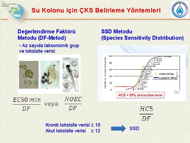Su Kolonu için ÇKS Belirleme Yöntemleri Değerlendirme Faktörü Metodu (DF-Metod) • Az sayıda taksonomik