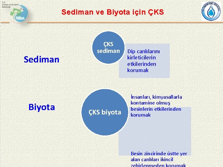 Sediman ve Biyota için ÇKS Sediman Biyota ÇKS sediman ÇKS biyota Dip canlılarını kirleticilerin