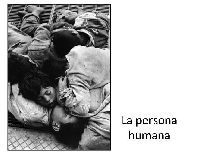 La persona humana 