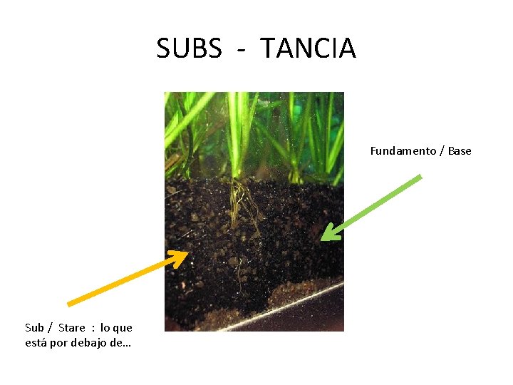 SUBS - TANCIA Fundamento / Base Sub / Stare : lo que está por