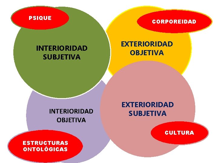 PSIQUE INTERIORIDAD SUBJETIVA INTERIORIDAD OBJETIVA CORPOREIDAD EXTERIORIDAD OBJETIVA EXTERIORIDAD SUBJETIVA CULTURA ESTRUCTURAS ONTOLÓGICAS 