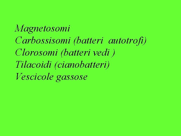 Magnetosomi Carbossisomi (batteri autotrofi) Clorosomi (batteri vedi ) Tilacoidi (cianobatteri) Vescicole gassose 